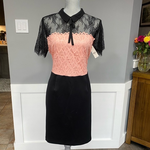 COLORBLOCK LACE SHEATH DRESS - Picture 6 of 9